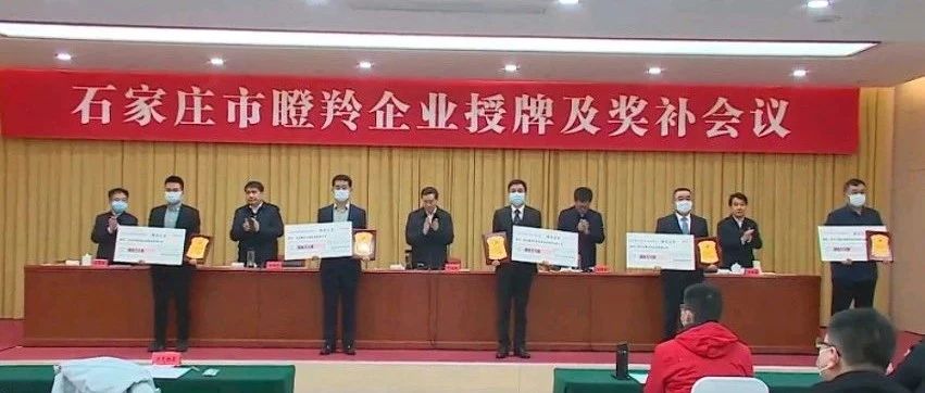 喜報(bào)丨為信電子榮獲石家莊市瞪羚企業(yè)稱號(hào)
